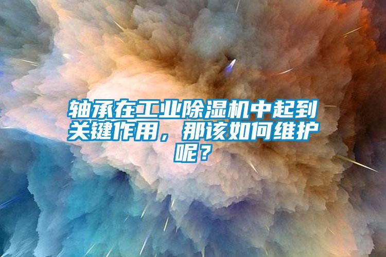 軸承在工業除濕機中起到關鍵作用，那該如何維護呢？