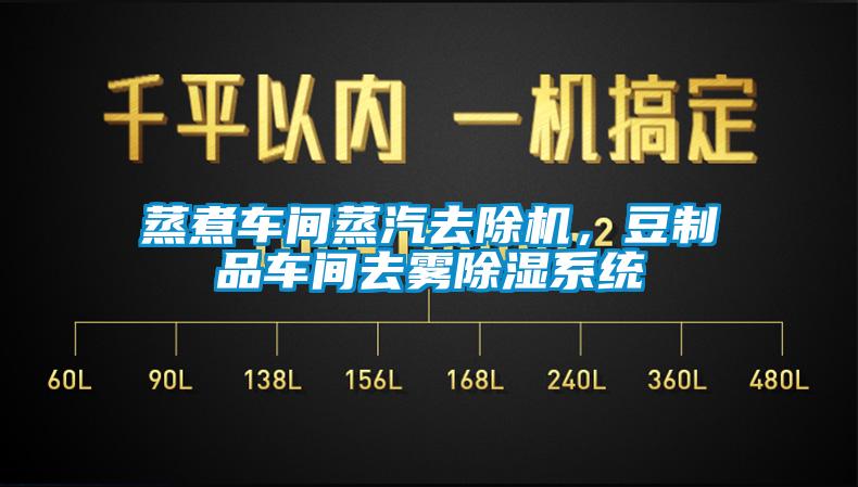 蒸煮車間蒸汽去除機，豆制品車間去霧除濕系統