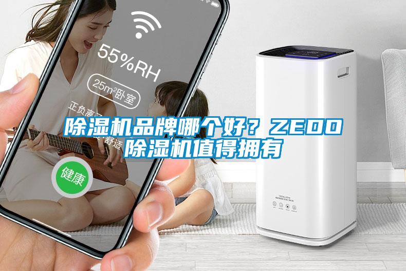 除濕機(jī)品牌哪個(gè)好？ZEDO除濕機(jī)值得擁有