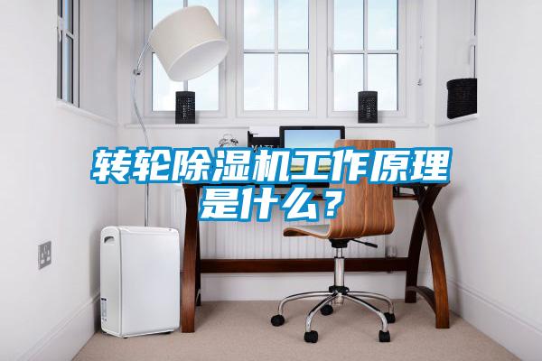 轉輪除濕機工作原理是什么？