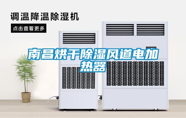 南昌烘干除濕風道電加熱器