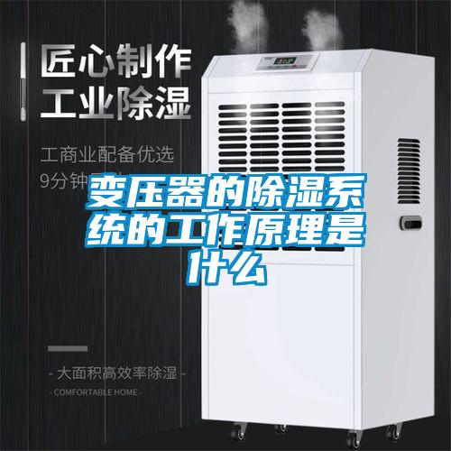 變壓器的除濕系統的工作原理是什么