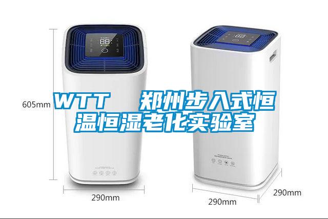 WTT  鄭州步入式恒溫恒濕老化實驗室