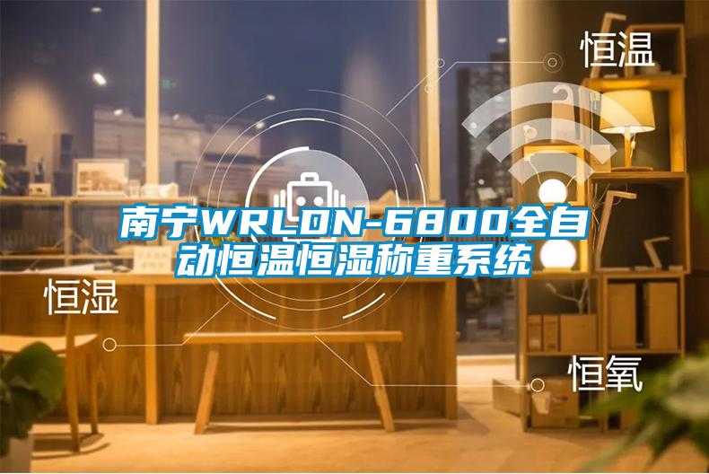 南寧WRLDN-6800全自動恒溫恒濕稱重系統