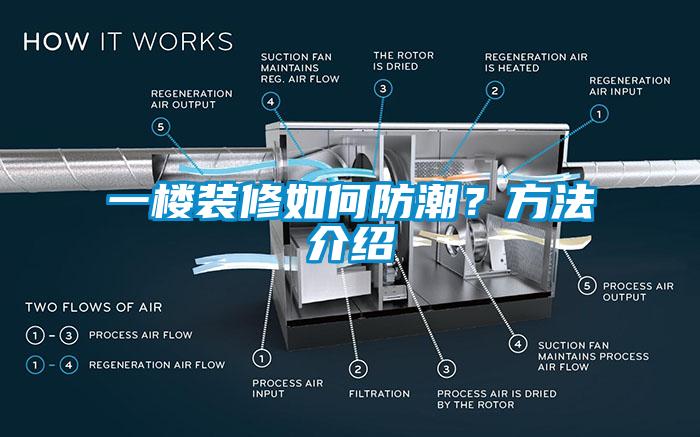 一樓裝修如何防潮？方法介紹