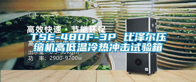 TSE-480F-3P 比澤爾壓縮機高低溫冷熱沖擊試驗箱