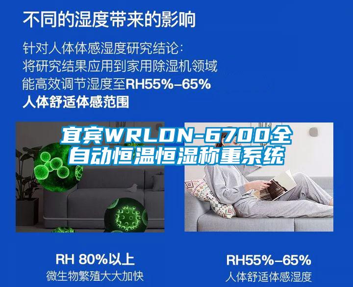 宜賓WRLDN-6700全自動恒溫恒濕稱重系統