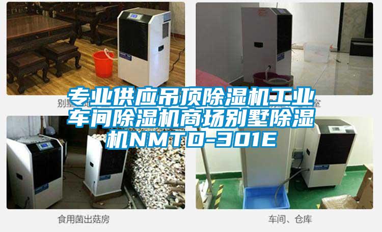 專業供應吊頂除濕機工業車間除濕機商場別墅除濕機NMTD-301E