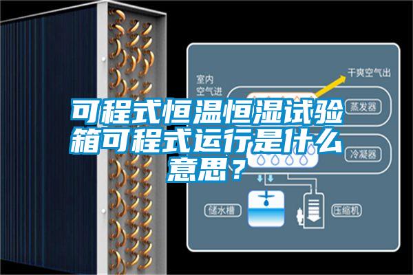 可程式恒溫恒濕試驗箱可程式運行是什么意思？