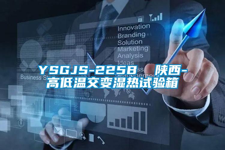 YSGJS-225B  陜西-高低溫交變濕熱試驗(yàn)箱