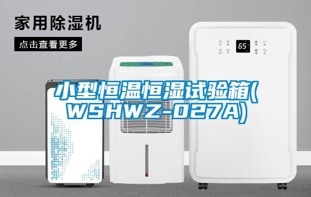 小型恒溫恒濕試驗箱(WSHWZ-027A)