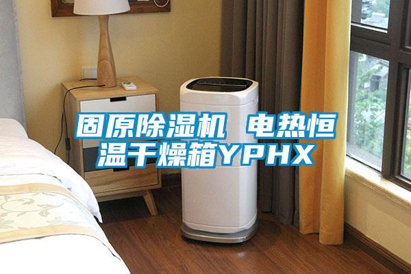 固原除濕機 電熱恒溫干燥箱YPHX