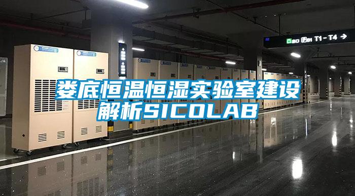 婁底恒溫恒濕實驗室建設(shè)解析SICOLAB