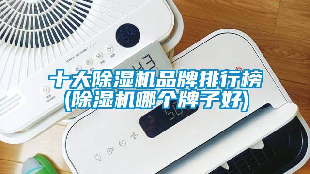 十大除濕機品牌排行榜(除濕機哪個牌子好)