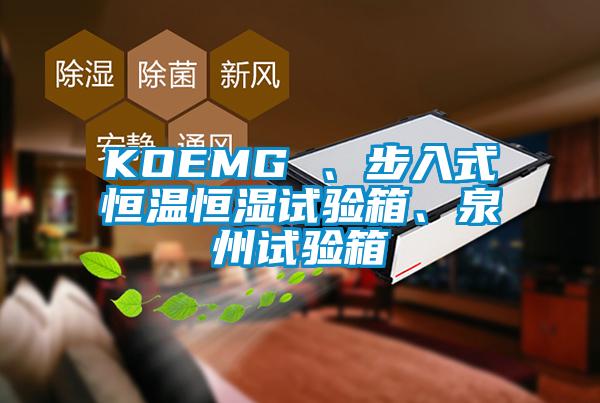 KOEMG 、步入式恒溫恒濕試驗箱、泉州試驗箱