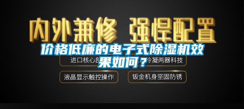 價格低廉的電子式除濕機效果如何？