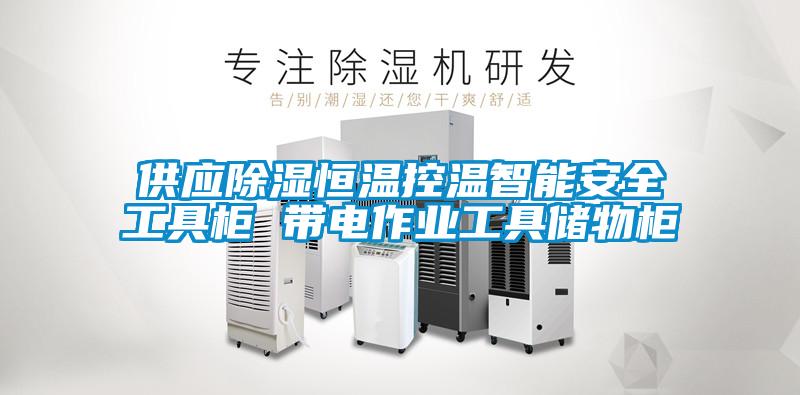 供應除濕恒溫控溫智能安全工具柜 帶電作業(yè)工具儲物柜