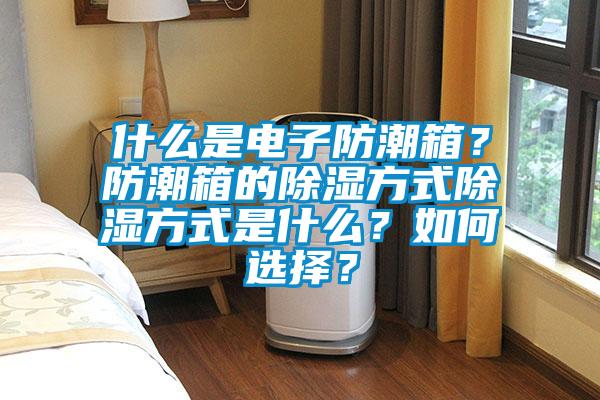 什么是電子防潮箱？防潮箱的除濕方式除濕方式是什么？如何選擇？