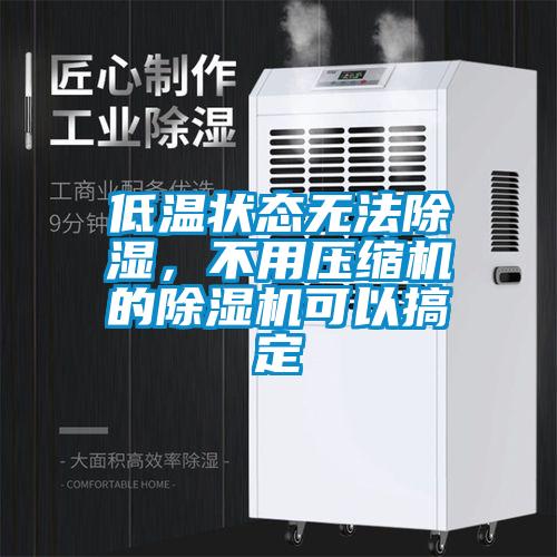 低溫狀態無法除濕，不用壓縮機的除濕機可以搞定