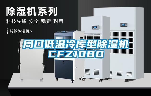 周口低溫冷庫型除濕機CFZ10BD