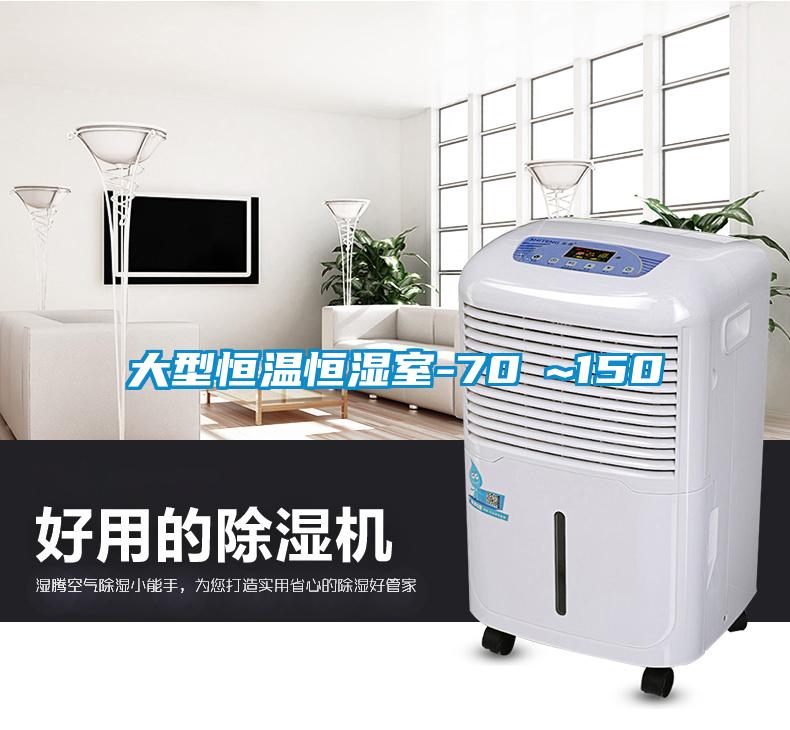 大型恒溫恒濕室-70℃~150℃