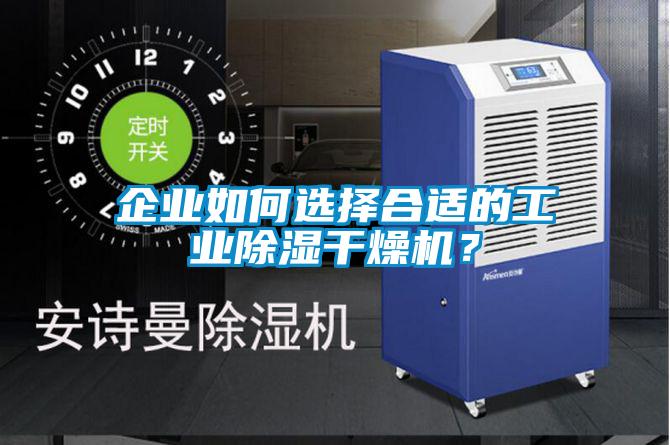 企業如何選擇合適的工業除濕干燥機？