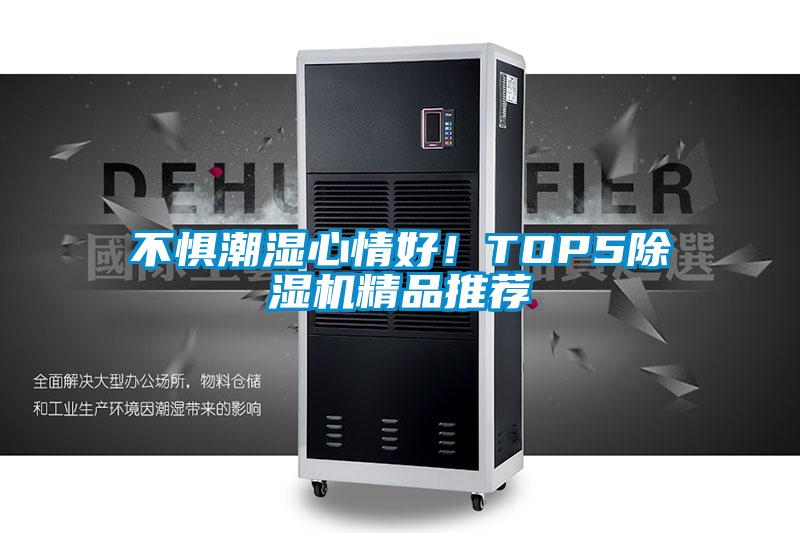 不懼潮濕心情好！TOP5除濕機精品推薦