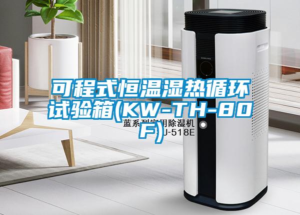 可程式恒溫濕熱循環(huán)試驗箱(KW-TH-80F)