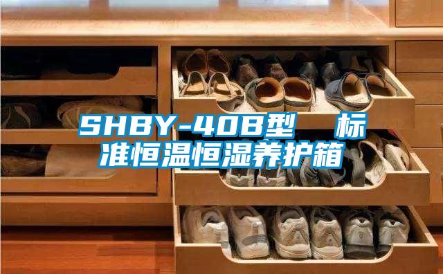 SHBY-40B型  標(biāo)準(zhǔn)恒溫恒濕養(yǎng)護(hù)箱