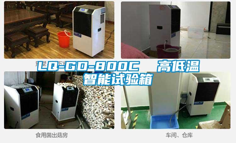 LQ-GD-800C  高低溫智能試驗箱