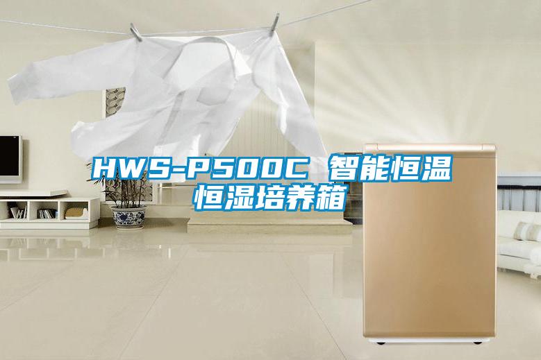 HWS-P500C 智能恒溫恒濕培養箱