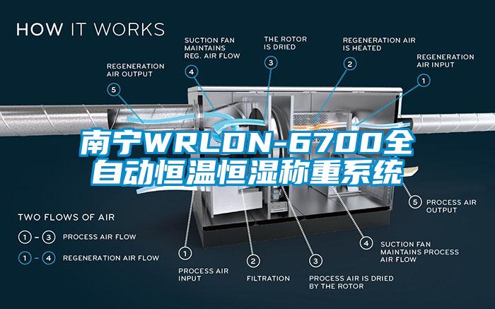 南寧WRLDN-6700全自動恒溫恒濕稱重系統