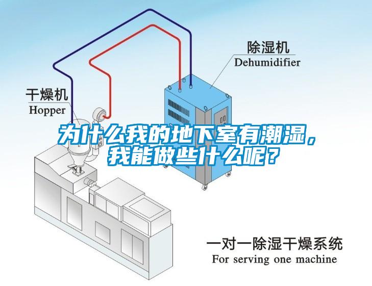 為什么我的地下室有潮濕， 我能做些什么呢？