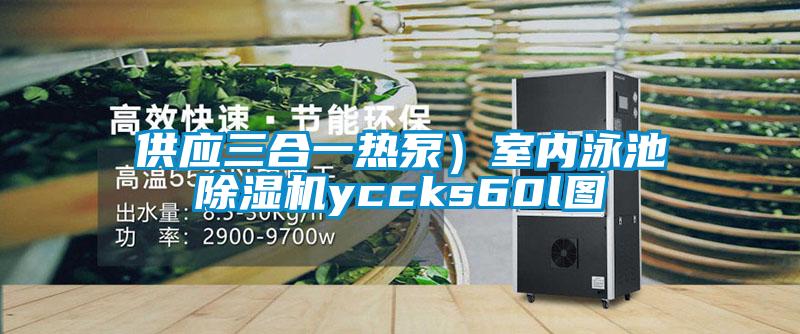 供應三合一熱泵）室內泳池除濕機yccks60l圖