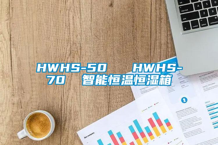 HWHS-50   HWHS-70  智能恒溫恒濕箱