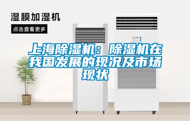 上海除濕機：除濕機在我國發展的現況及市場現狀