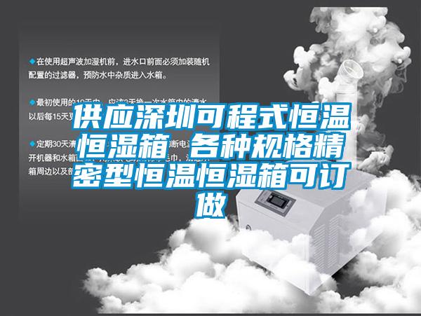 供應深圳可程式恒溫恒濕箱 各種規(guī)格精密型恒溫恒濕箱可訂做