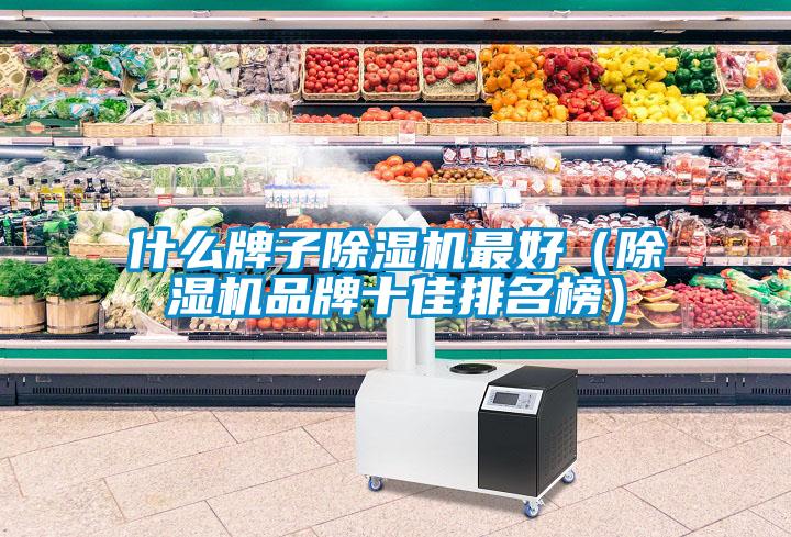 什么牌子除濕機最好（除濕機品牌十佳排名榜）