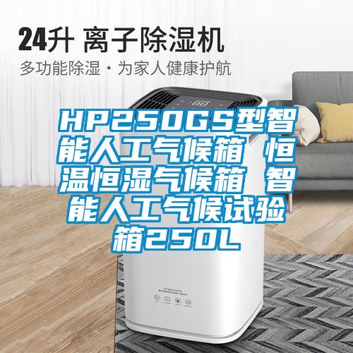 HP250GS型智能人工氣候箱 恒溫恒濕氣候箱 智能人工氣候試驗箱250L