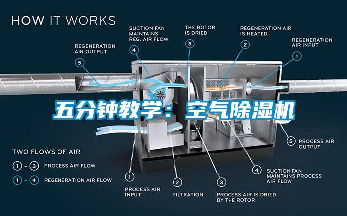 五分鐘教學：空氣除濕機