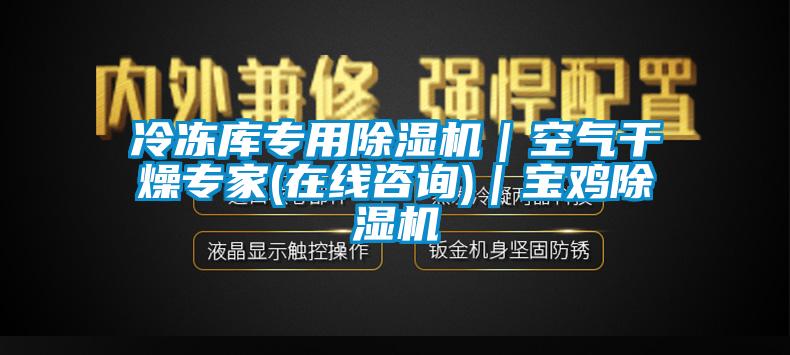 冷凍庫專用除濕機｜空氣干燥專家(在線咨詢)｜寶雞除濕機