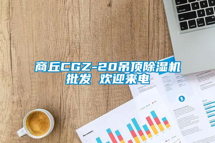 商丘CGZ-20吊頂除濕機批發 歡迎來電