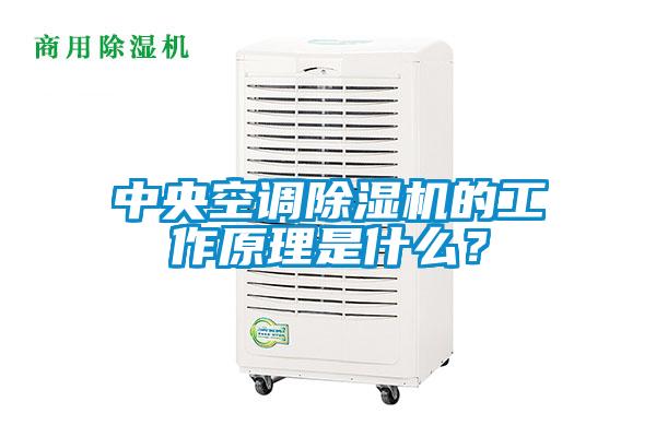 中央空調除濕機的工作原理是什么？