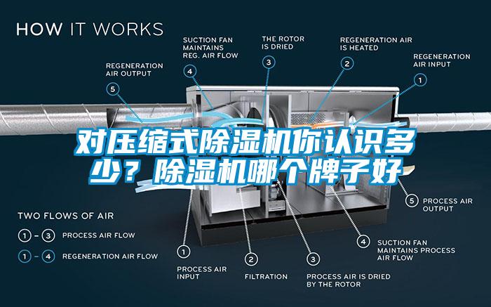 對壓縮式除濕機你認識多少？除濕機哪個牌子好