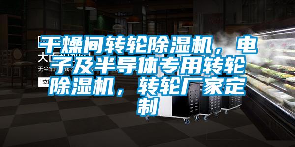 干燥間轉輪除濕機，電子及半導體專用轉輪除濕機，轉輪廠家定制