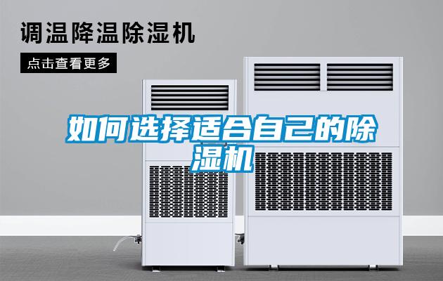 如何選擇適合自己的除濕機