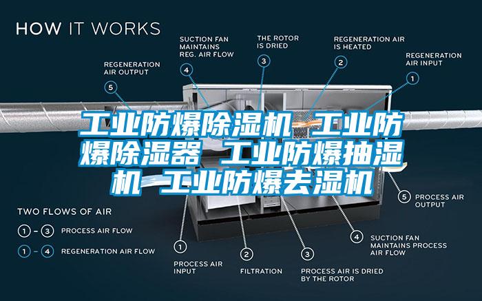 工業(yè)防爆除濕機 工業(yè)防爆除濕器 工業(yè)防爆抽濕機 工業(yè)防爆去濕機