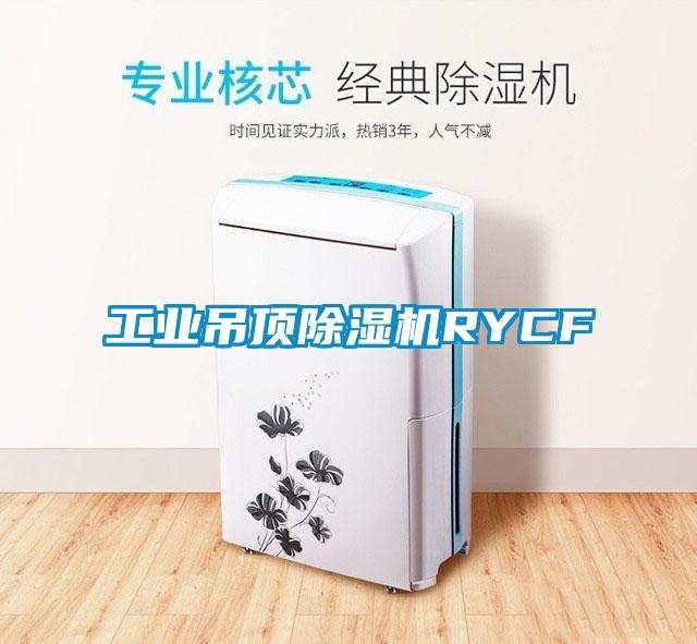 工業吊頂除濕機RYCF