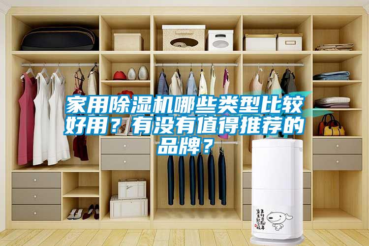 家用除濕機哪些類型比較好用？有沒有值得推薦的品牌？