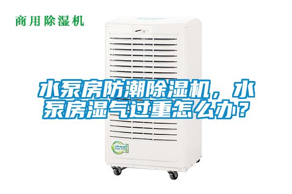 水泵房防潮除濕機(jī)，水泵房濕氣過重怎么辦？